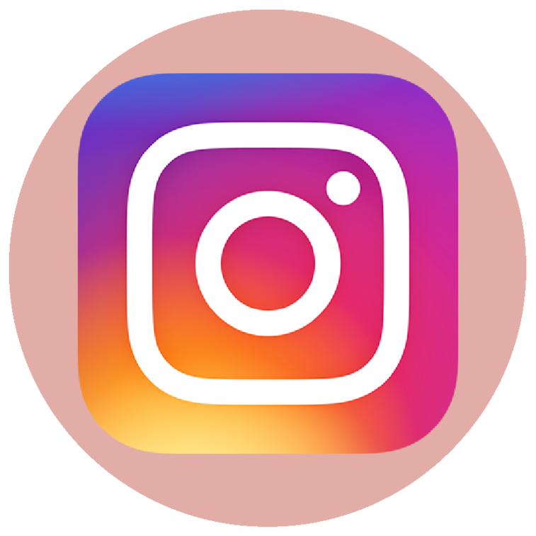 Instagram Icon Link